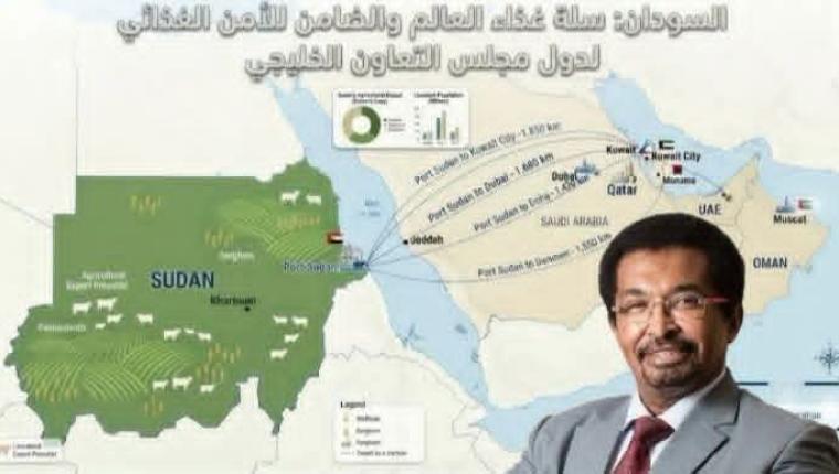 البروفيسور/ أحمد التجاني المنصوري يكتب  هل تتحول الأزمة إلى فرصة تاريخية للسودان؟