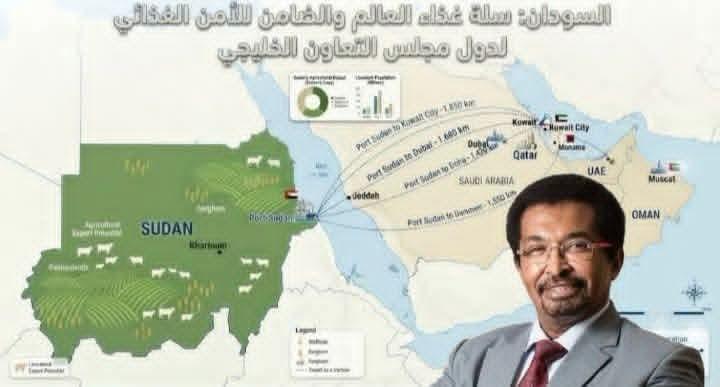 البروفيسور/ أحمد التجاني المنصوري يكتب  هل تتحول الأزمة إلى فرصة تاريخية للسودان؟