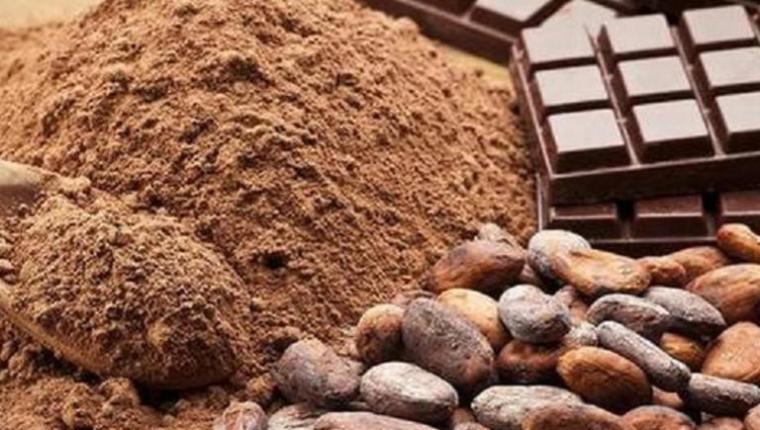 أبرز فوائد الكاكاو الصحية.. يحقق السعادة للانسان