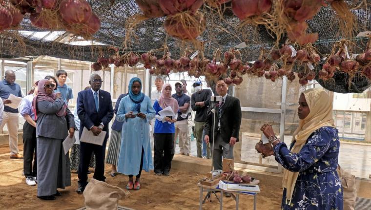 سفير السودان لدى اليابان يشيد بجهود "جايكا" ويطلع على بحوث زراعية سودانية بمركز "تسكوبا"